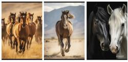 STREET Füzet A/4 kockás STREET 54 lapos Horses 1db, minta nem választható (67582)