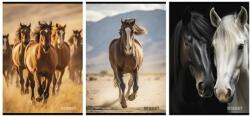 STREET Füzet A/4 vonalas STREET 54 lapos Horses margóval, minta nem választható (67580)