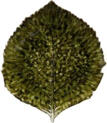 COSTA NOVA Hydrangea Leaf Riviera 21, 8 cm, verde închis