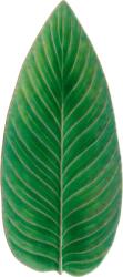 COSTA NOVA Strelizia Leaf Riviera 39, 8 x 17, 2 cm, verde deschis