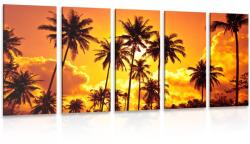 Dovido Tablou 5-piese palmieri de cocos pe plajă - 150x75