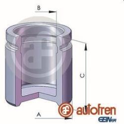 Autofren Seinsa Piston, etrier frana AUTOFREN SEINSA D025331 (D025331)