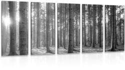 Dovido Tablou 5-piese dimineața în pădure în design alb-negru - 150x75