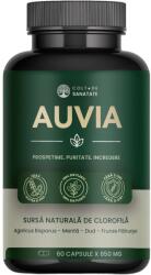 Colt de Sanatate Auvia: Deodorant intern pentru Neutralizare Mirosurilor Corporale - Transpiratie de la Axile, Zona intima sau Picioare - Cu Clorofila - 60 Capsule