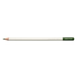 Tombow Цветен молив Irojiten в кактусово зелено (CI-RD17)
