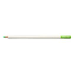 Tombow Цветен молив Irojiten flash green (CI-RF9)