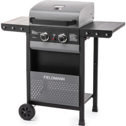 Fieldmann FZG 3000