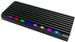 LC-Power LC-M2-C-NVME-4