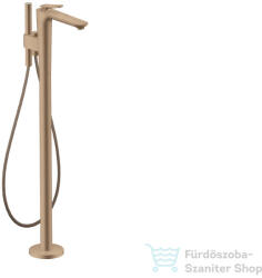 Hansgrohe Citterio C 49441310