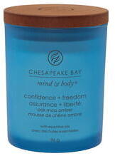 Chesapeake Bay Parfumuri pentru casa Confidence & Freedom Candle - small tumbler