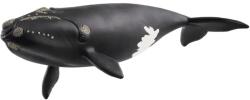 Schleich North Atlantic Right Whale 14878 Figurina