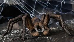 Schleich Harry Potter Aragog 13987 Figurina