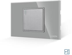 Luxion Intrerupator Simplu Cap Cruce Mecanic LUXION cu Rama din Sticla, Standard Italian, 2/3M - culoare gri