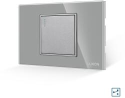 Luxion Intrerupator Simplu Cap Scara Mecanic LUXION cu Rama din Sticla, Standard Italian, 2/3M - culoare gri