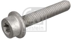 Febi Bilstein Șurub, vana ulei (cutie viteză automată) FEBI BILSTEIN 46395 (46395)
