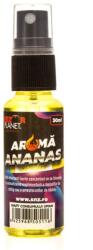  AROMA SPRAY ANANAS 30ml