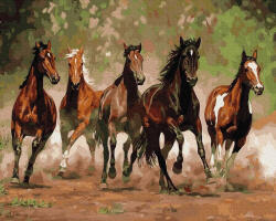 iPicasso Set pictura pe numele, cu sasiu, Galop, 40x50 cm (PC4050172)