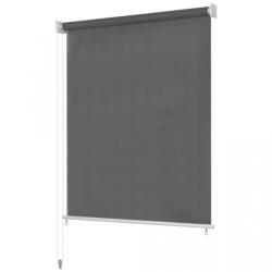 VidaXL Jaluzea tip rulou de exterior, 100 x 140 cm, antracit (43482)