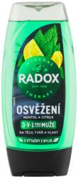  Radox SG 225ml Frissítő mentol és citrus