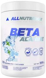 ALLNUTRITION Beta Alanine, fresh, 500 g, AllNutrition (7412)