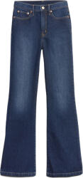GAP 70s flare 25reg
