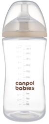 Canpol babies Natural Shape antikólikás cumisüveg 6m+