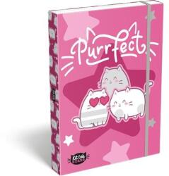 LIZZY Füzetbox, A4, LIZZYSULI, "Kit tok Stars Purrfect (TICLFBKSA4) - primatinta