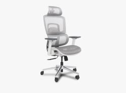 Revotica Winnipeg A8616-Q white mesh
