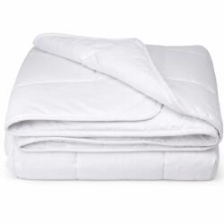 Kotonia Home Pilota matlasata, iarna, 200x220 cm, 300 g/mp, alba, 100% Microfibra, puf siliconizat (002003)