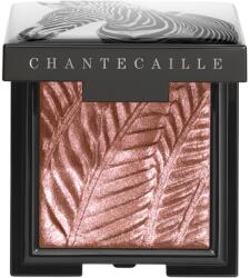 Chantecaille Luminescent Eye Shades gyöngyházas szemhéjfestékek Zebra 2.5 g