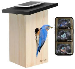 Birdfy Madáretető kamerával, ébenfa, AI nélkül (EPPAMBNI8802110)
