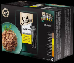 Mars-Nestlé Sheba Delicacy in Jelly Adult - Alutasakos (Baromfi válogatás, zselés) macskák részére (12x85g) (265281)