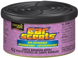 California Scents Odorizant auto CS California Santa Barbara Berry D1U Unq (12164984)