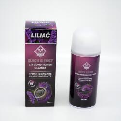 CLUE Spray igienizare clima auto Liliac 150 ml (12290256)