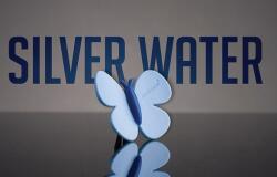 CARGUARD Odorizant Auto Fluturas -Silver Water (11351665)