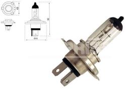Carpriss Bec Carpriss H4 75/70W P43t (12-987-692)