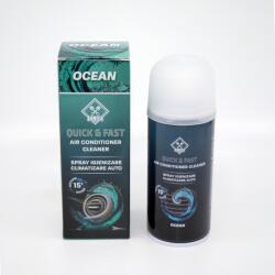 CLUE Spray igienizare clima auto Ocean 150 ml (12290258)