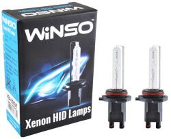 Winso Bec auto xenon Winso HB4 6000K, 85V, 35W P22d KET (13047144)