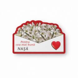 Flippy Magneti Decorativi Martisor, Set 24 Piese, Jolie, Tema Mesaj Pentru Cea Mai Buna Nasa, Carton Laminat cu Magnet Flexibil, 8x6 cm, Multicolor (165519)