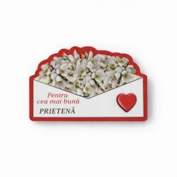 Flippy Magneti Decorativi Martisor, Set 24 Piese, Jolie, Tema Mesaj Pentru Cea Mai Buna Prietena, Carton Laminat cu Magnet Flexibil, 8x6 cm, Multicolor (165523)