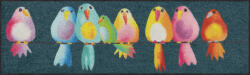 Salonloewe Rainbow Birds 030x100 cm szennyfogó szőnyeg