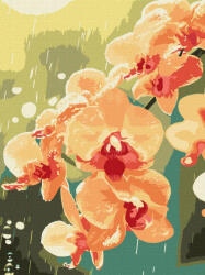 Ideyka Festés számok szerint - Harmatos orchidea 30*40 cm