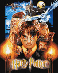 Ideyka Festés számok szerint - Harry Potter: A Bölcsek köve 40*50 cm