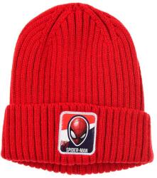 Kids movie heroes Шапка spiderman (hw4098-red)