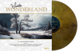 Various Artists - WINTER WONDERLAND - 14 CHRISTMASTIME CLASSICS (GOLD MARBLE VINYL) - Vinyl (9120005654341)