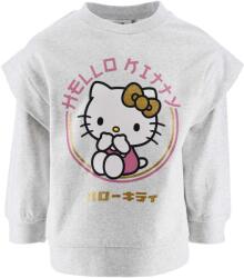 Kids movie heroes Блуза Hello Kitty (HY10373-LGREY)