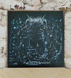 UNANIMATED - IN THE FOREST. . -REISSUE- - Vinyl (0194398100715)