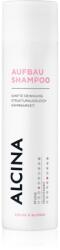 ALCINA Color & Blond sampon pentru regenerare pentru păr vopsit 250 ml