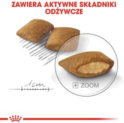 Royal Canin CCN MINI EXIGENT - száraz eledel felnőtt kutyáknak - 3 kg