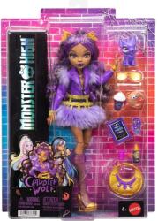 Monster High Papusa cu accesorii Monster High, Clawdeen Wolf, JHK30 Papusa